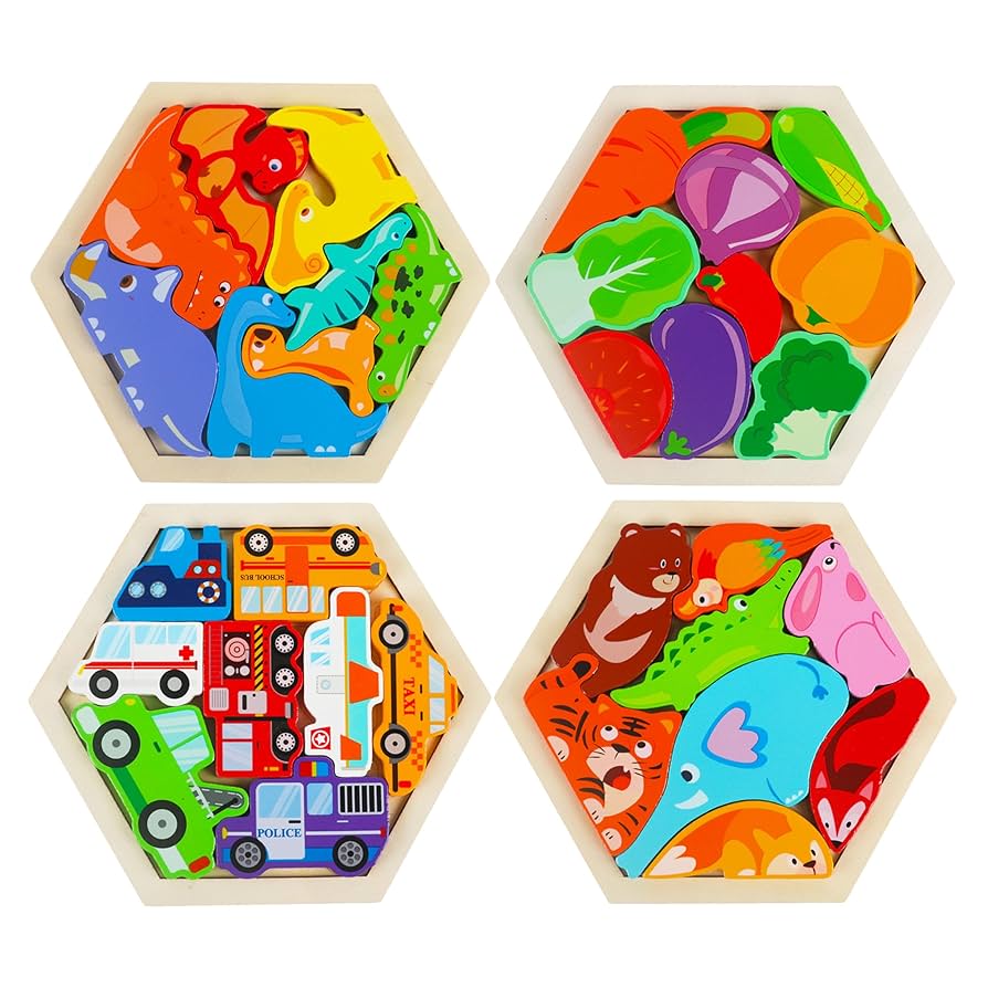 Amazon.co.jp: Shinse 木製パズル 4種類シリーズ 型はめパズル